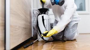 Best Emergency Pest Control  in Las Lomas, TX